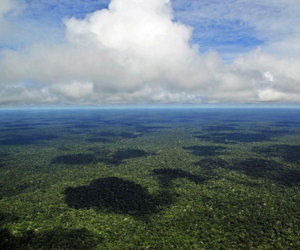 1024px-amazon_ciat_5-not1502