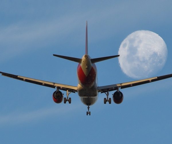 1olugar-leonardo-jacinto-caldas-cpia-not2411