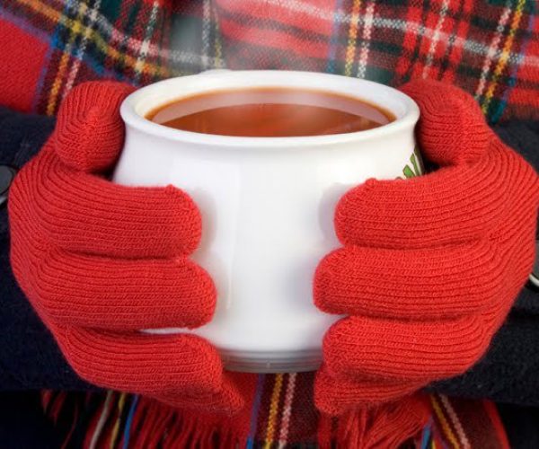 comida-no-inverno-not1786