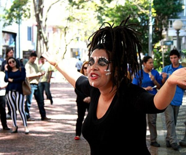 eu-nao-sou-macaco01-562x371-not2003